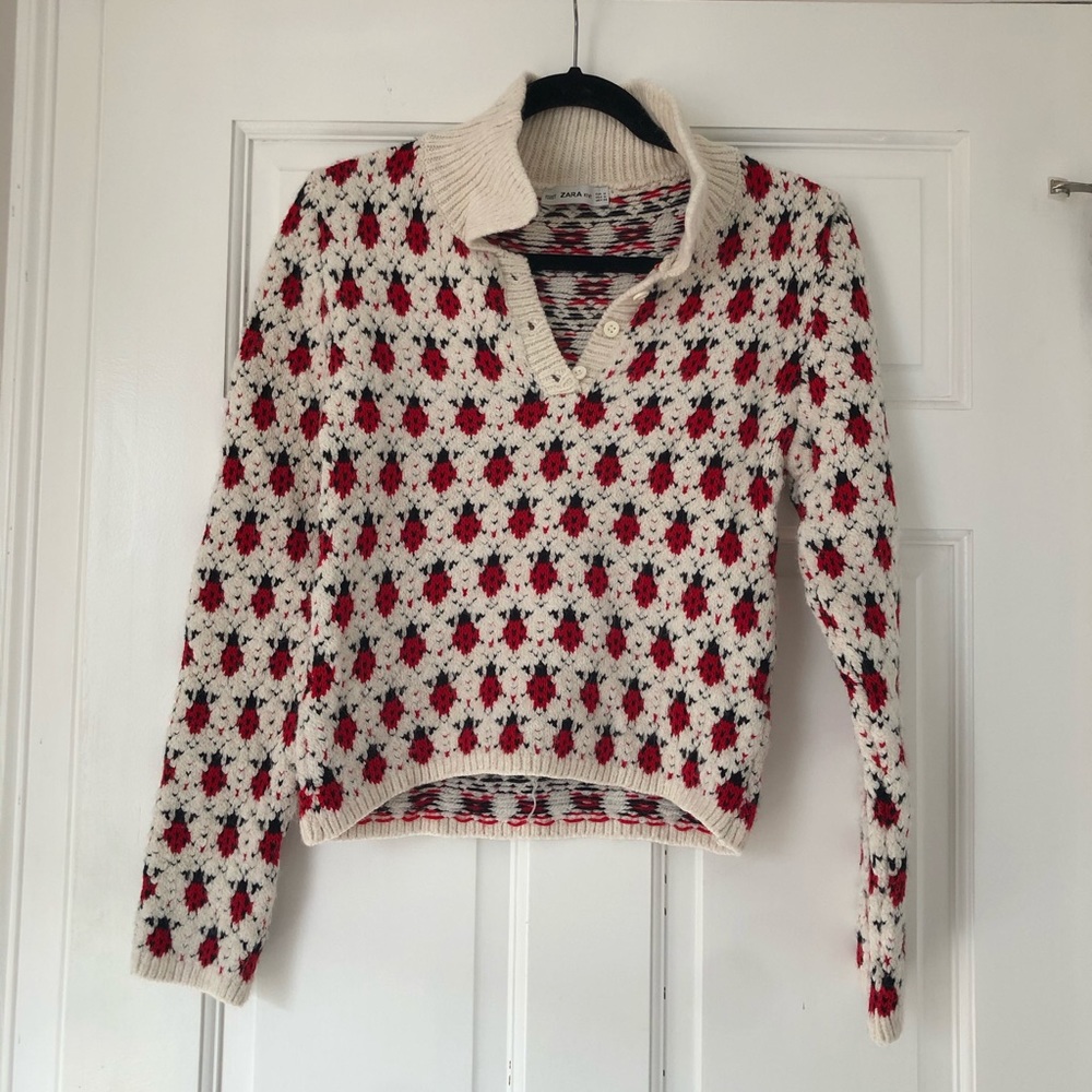 Zara Knit Ladybug Sweater